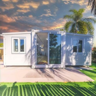 Modern tiny house with large windows and palm tree.