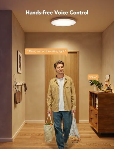 Man using voice control to turn on ceiling light in hallway