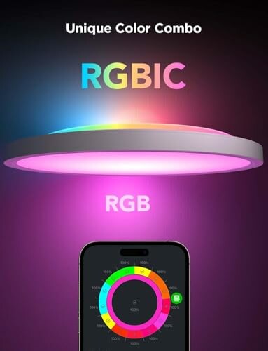Govee LED Ceiling Light